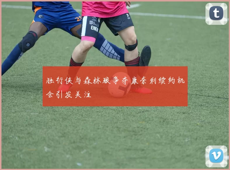 独行侠与森林狼争夺康奈利续约机会引发关注